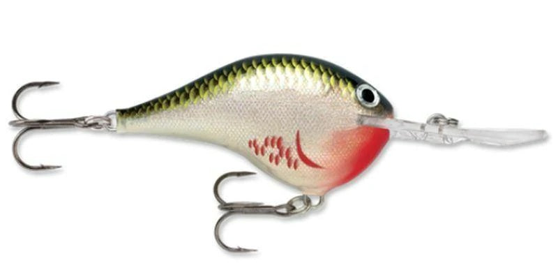 Rapala DT Series Crankbait DT8 – All Things Outdoors