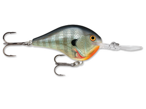 RAPALA DT® (Dives-To) Series-High Falls Outfitters