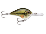 RAPALA DT® (Dives-To) Series-High Falls Outfitters