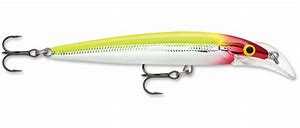 RAPALA - SCATTER RAP DEEP HUSKY JERK