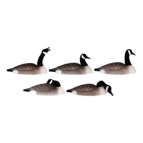HARDCORE CANADA GOOSE SHELLS TOUCH DOWN 12 PACK-High Falls Outfitters