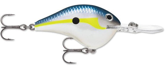 Rapala DT Series Crankbait DT8 Helsinki Shad – All Things Outdoors
