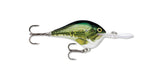 Rapala DT (Dives-To) Series