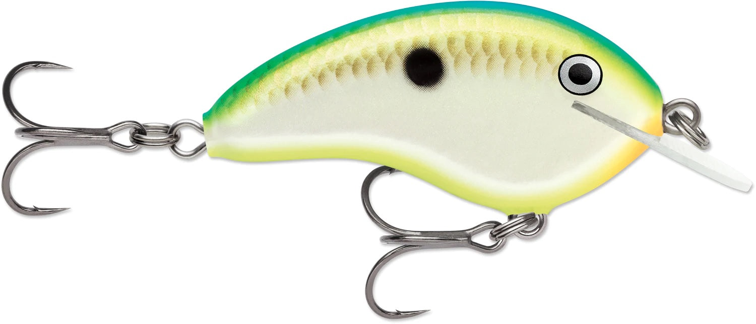 Rapala OG Tiny 04 Shallow Diving Crankbait 2 1/4 inches 5/16 oz. – All  Things Outdoors