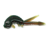 Clam Scudi XL 1 3/8"