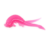 Clam Scudi XL 1 3/8"