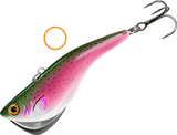 KAMOOKI SMARTFISH