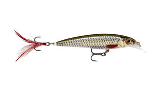 Rapala X-Rap. Live Roach 10 cm., 4 "