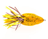 Pumpkin Seed