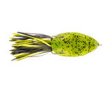 Watermelon Seed