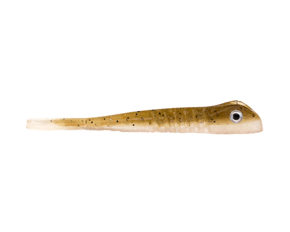 JUVINILLE GOBY