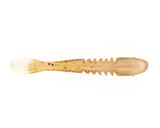 JUVINILLE GOBY